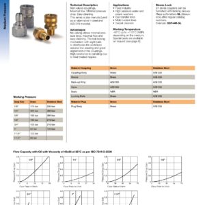 SST-4- BSPP